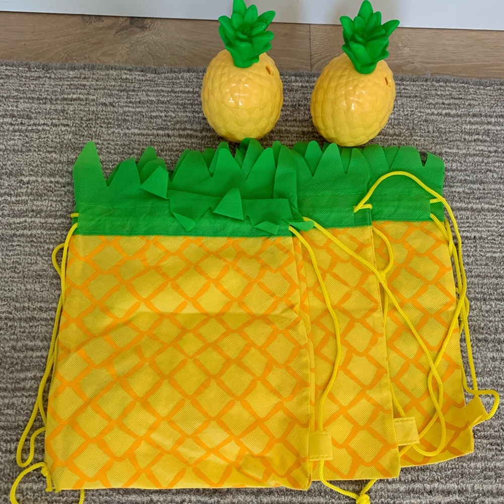 Pineapple Cloth Tote Bags, Drink Containers Set